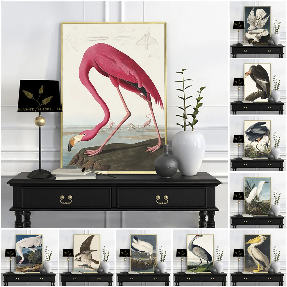 

Vintage Canvas Print Audubon Bird Poster Pink Flamingo Snowy Owl Pelican Blue Heron White Egret Wall Art Painting Bedroom Decor
