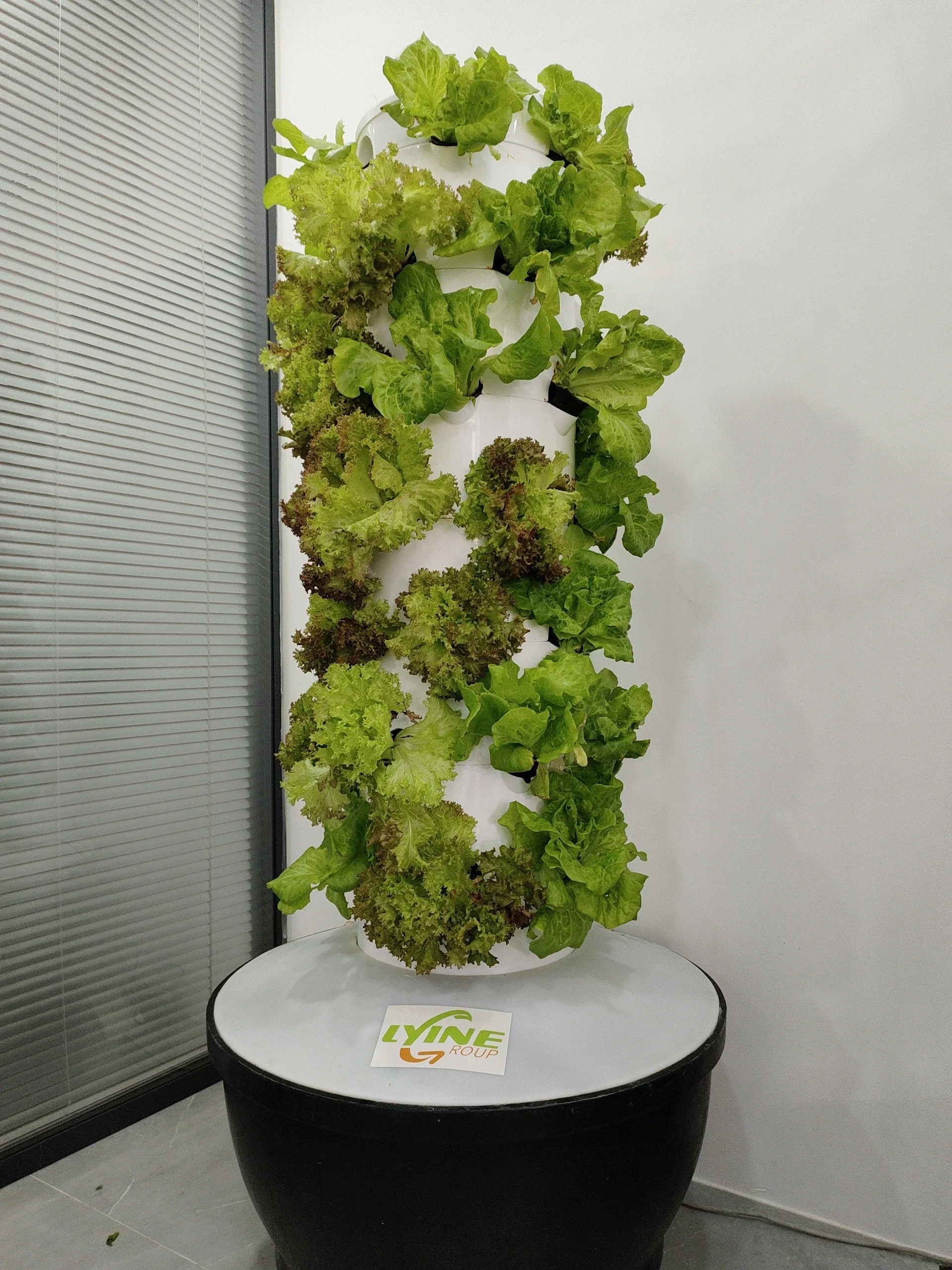 Lyine 2024 новые системы посадки аэропонная вертикальная система 6pTower для теплиц