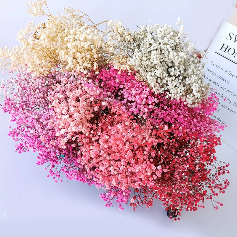 

Colorful Natural Fresh Dried Preserved Flowers Natural Real Flower Babysbreath Small Natural Dried Flowers Bouquet Wedding Decor