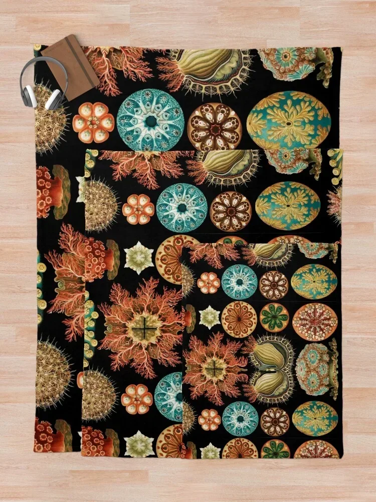 Асцитацея-морские сквирты бросать одеяло тяжелые для сна пушистые одеяла