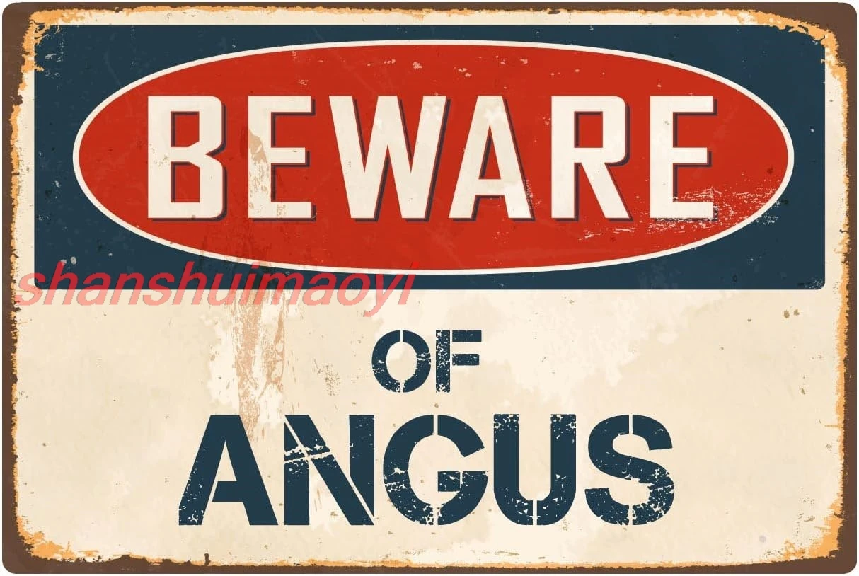 НаклейкаПират Остерегайтесь ангела 8 x 12 дюймов винтажный алюминиевый