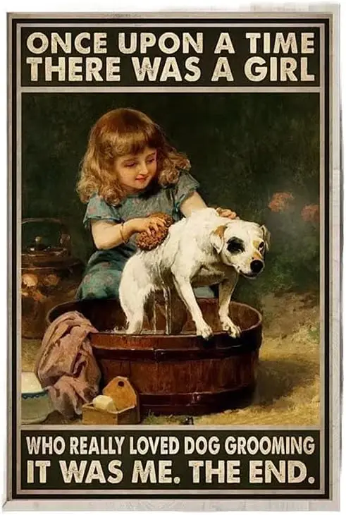 Купающая собака Pzecaru металлический знак однажды там была девушка которая