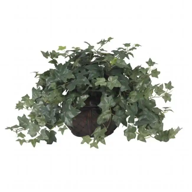 

Puff Ivy Polyester Artificial Plant with Vase, Green Vine Succulents artificial Plant accessories Fake vines Eucalyptus leaves C