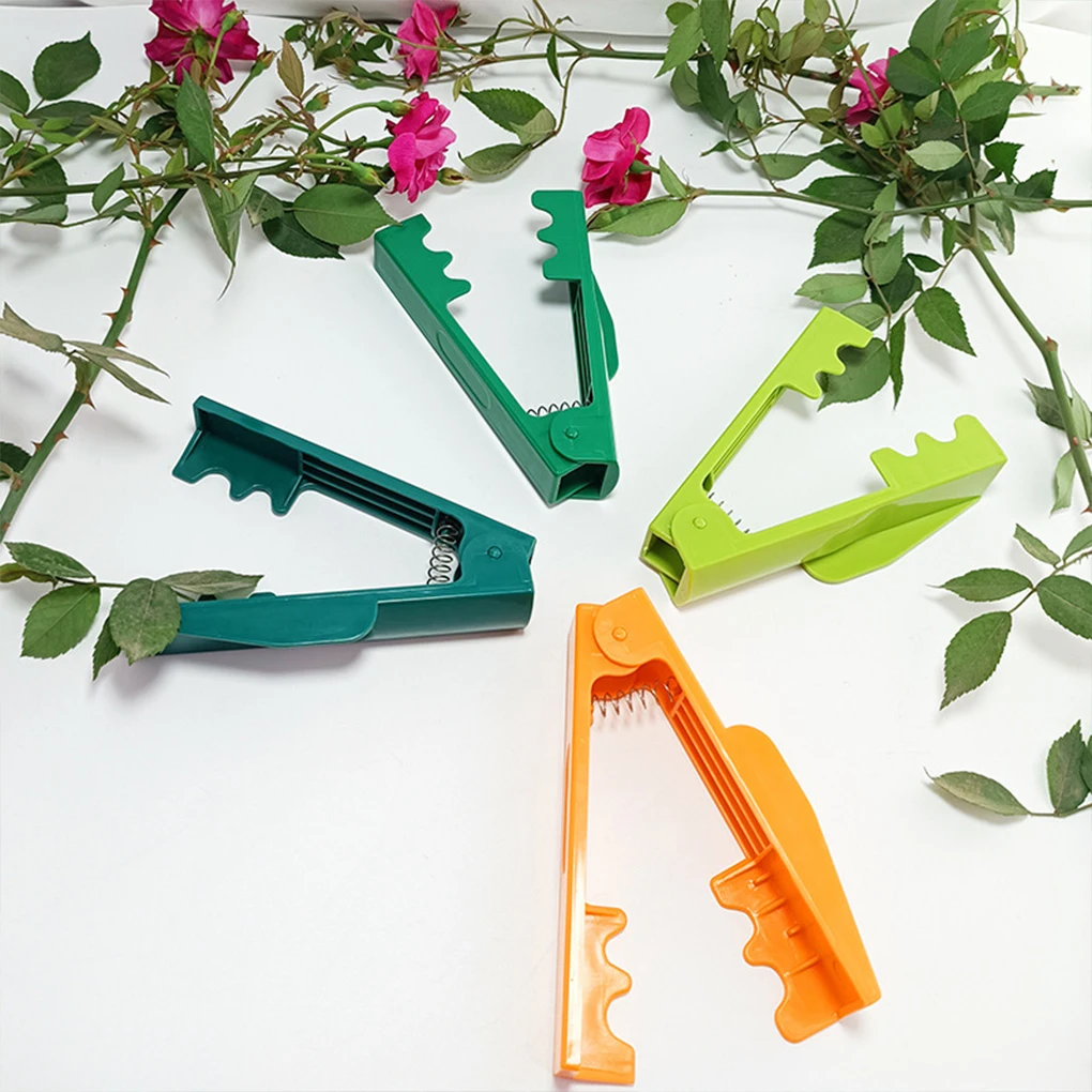 

Rose Pliers Tool Thorn Remover Cut Tools Piercing Cleaner Safety Durable