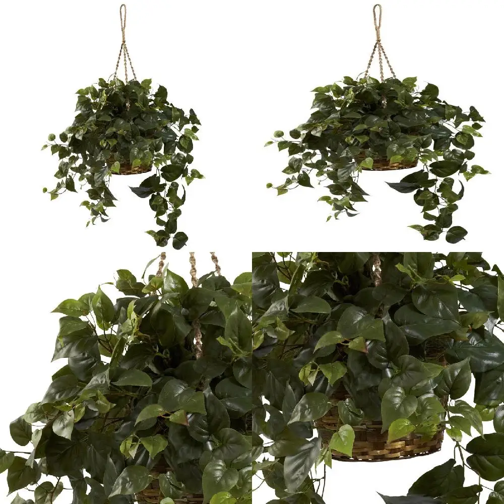 

Unique Green Polyester Philo Plastic Artificial Plant Hanging Basket with Long Lasting Beauty and Natural Ambiance to Enhance Yo