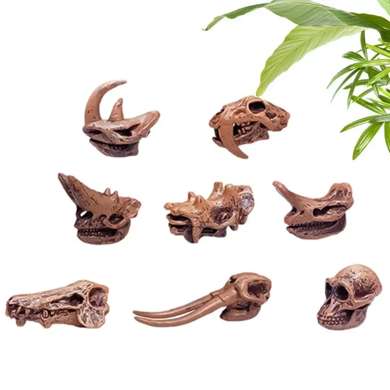 

Nature Science Educational Toy Kids Cognition Animal Fossil Model Archaeological Prehistoric Mammals Skull Figurines Set