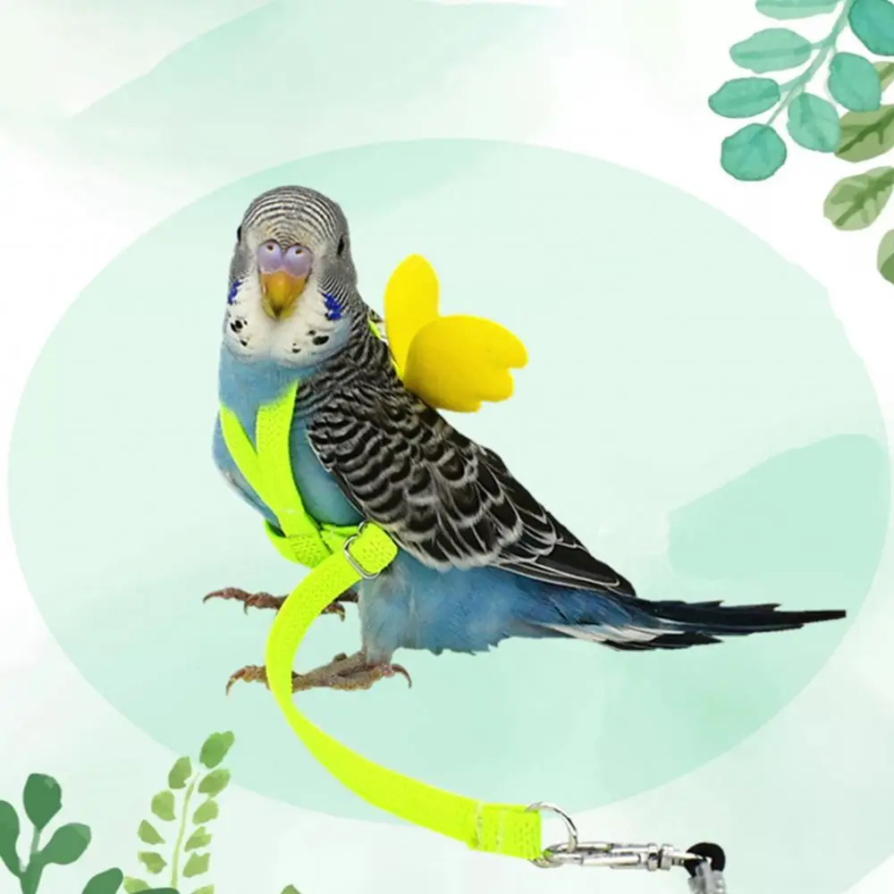 

Flexible Parrot Harness Leash Outdoor Training Traction Rope with Angel Wing