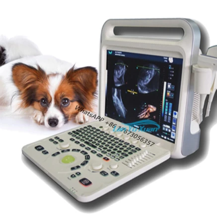 

Portable Echocardiography Machine 2D Echo, Echographe Cardiac 3D 4D Color Doppler Ultrasound Scanner