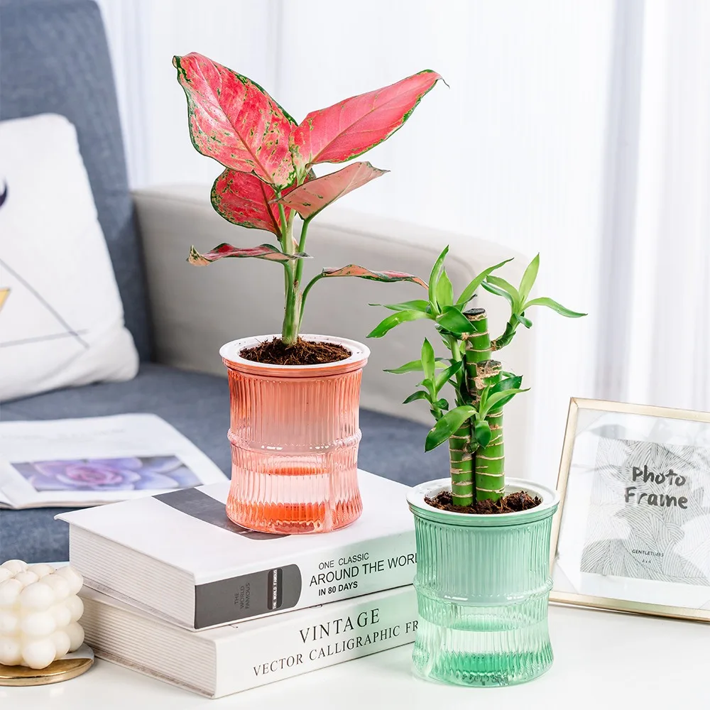 Горшок для гидропонных растений комнатный мини-цветочный горшок с самополивом