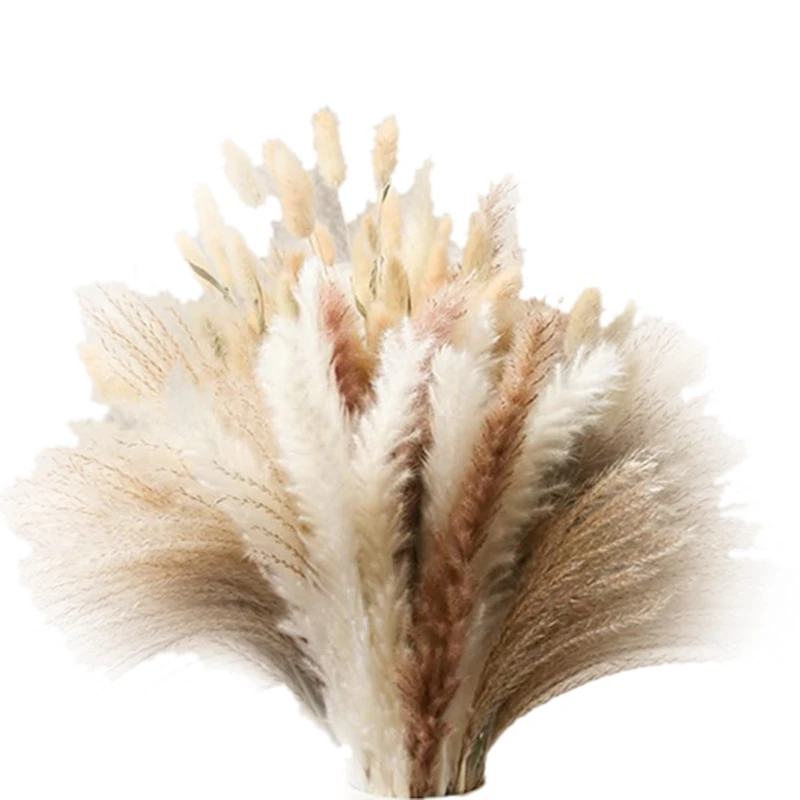 

120Pcs Dried Pampas Perfect For Home Decor, Wall Ornament, Wedding Ceremony, Etc