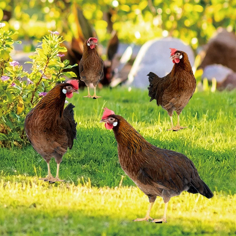 

Статуэтка петуха декоративная Реалистичная двухсторонняя садовая статуя, акриловая Художественная Скульптура для двора