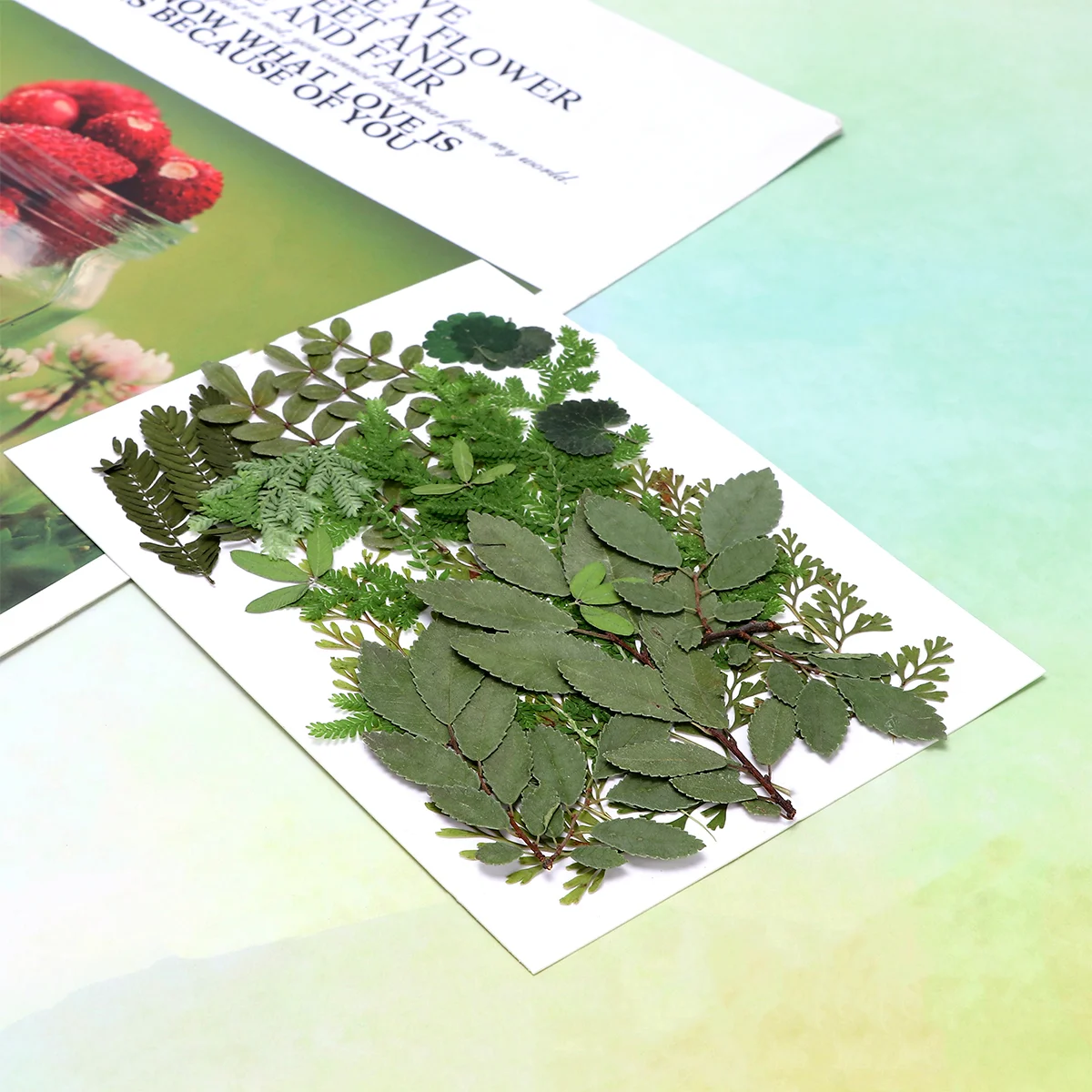 

Flowers Dried Pressed Flower Leavesleaf Making Wedding Crafts Party Diy Natural Decoration Dryresin Real Floral Scrapbook Press