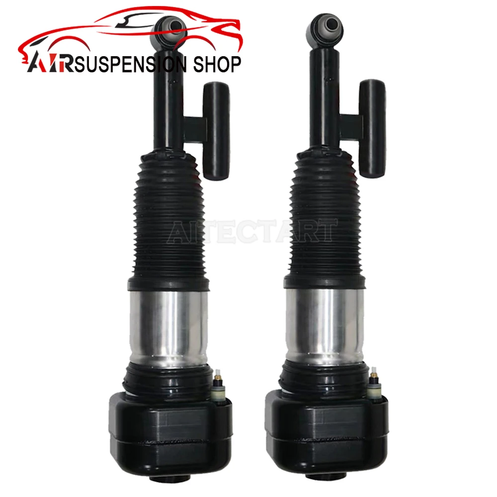 Рисунок 3 - Передний/задний амортизатор пневматической