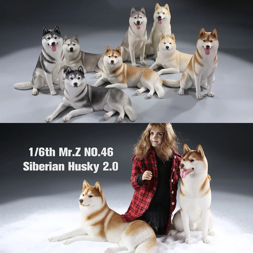 

Mr. Z MRZ046 1/6 Scale Soldier Scene Acssories Siberian Husky 2.0 Simulated Animal Model for 12" Action Figure Toys DIY