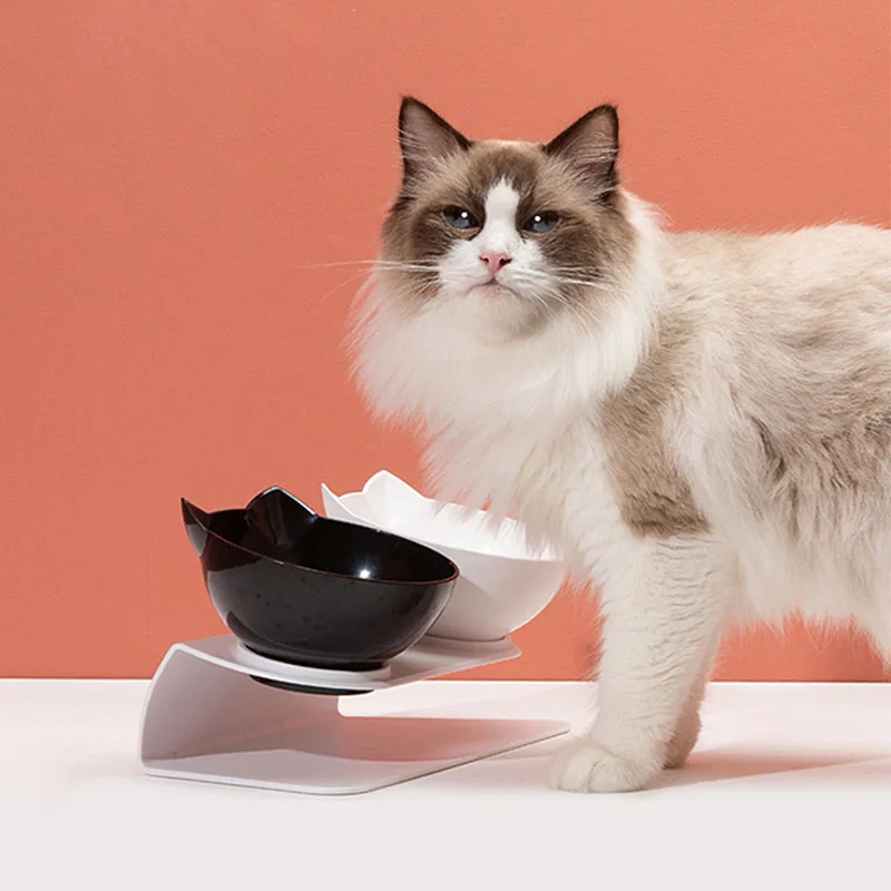 

Plastic Non-Slip Tall Cat Bowl 15° Oblique Angle Removable Anti-Wrestling Neck Double Bowl Single Bowl Solid Color Pet Food Bowl