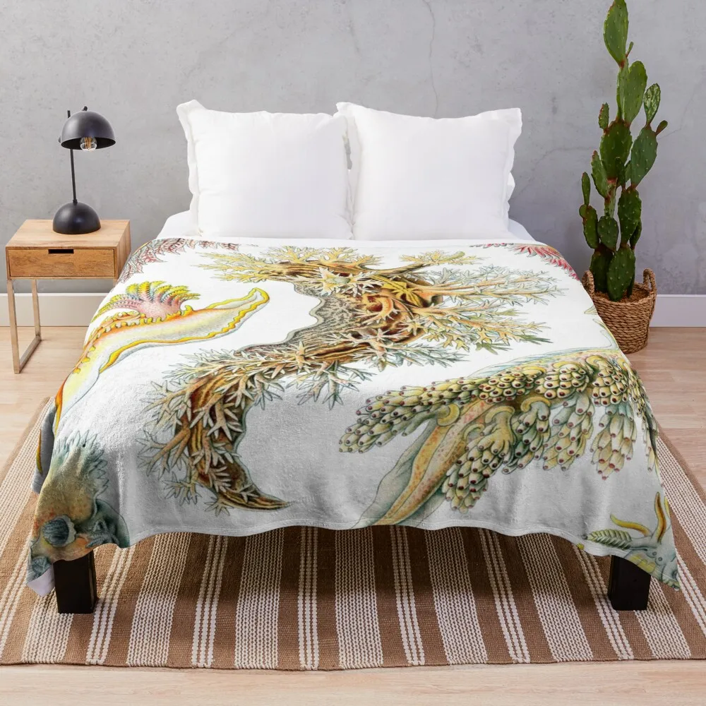 

Haeckel Nudibranchia Drawing Throw Blanket Sofa Blankets