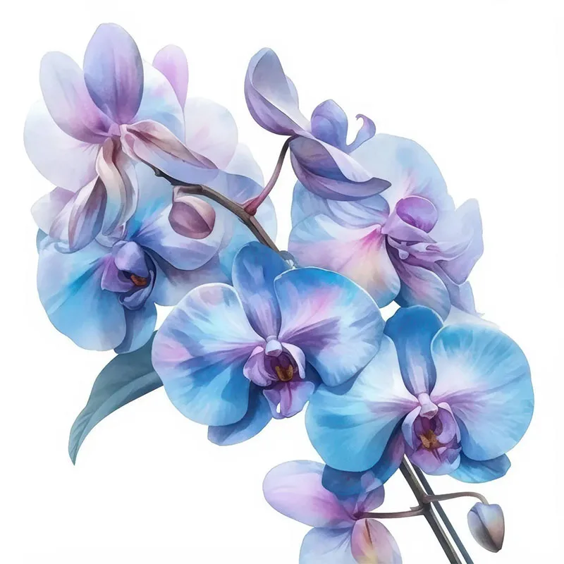 

Виниловые наклейки с синим цветочком орхидеи