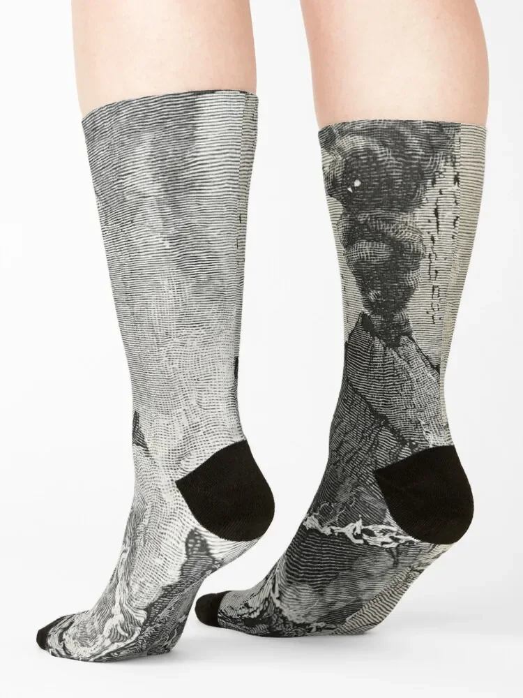 Mt. Vesuvius винтажная иллюстрация 1756 кроссовки беговые Нескользящие мужские носки