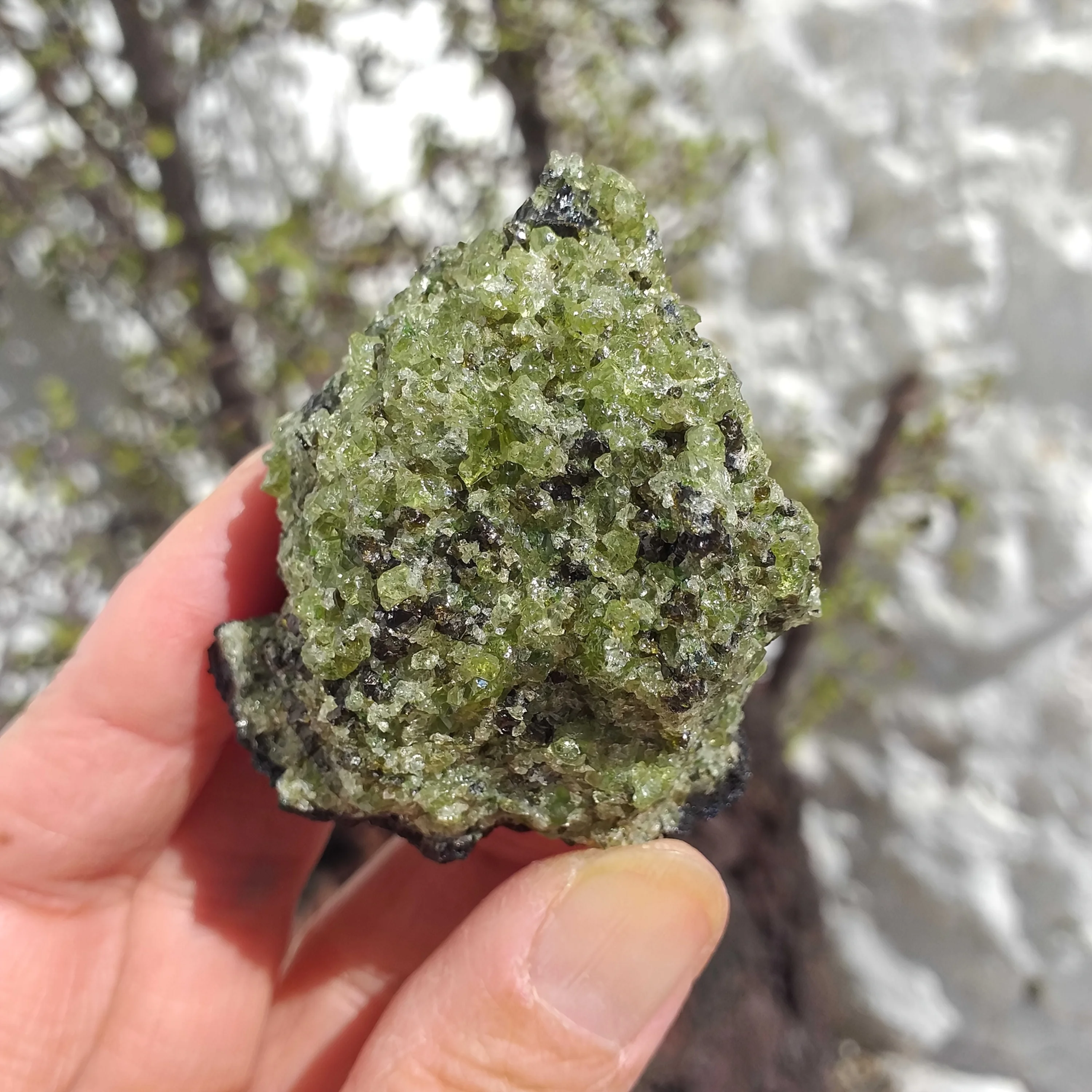 

Необработанный вулканический кластер из перидота CRYSTALHOLA