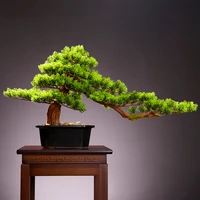 creative simulation welcome song bonsai living room plant potted cypress office plant landscape decoration