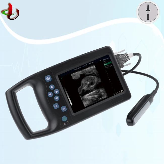 

Vet use echo machine portable Ultrasound scan cardiac device pregnancy B mode ultrasound machine