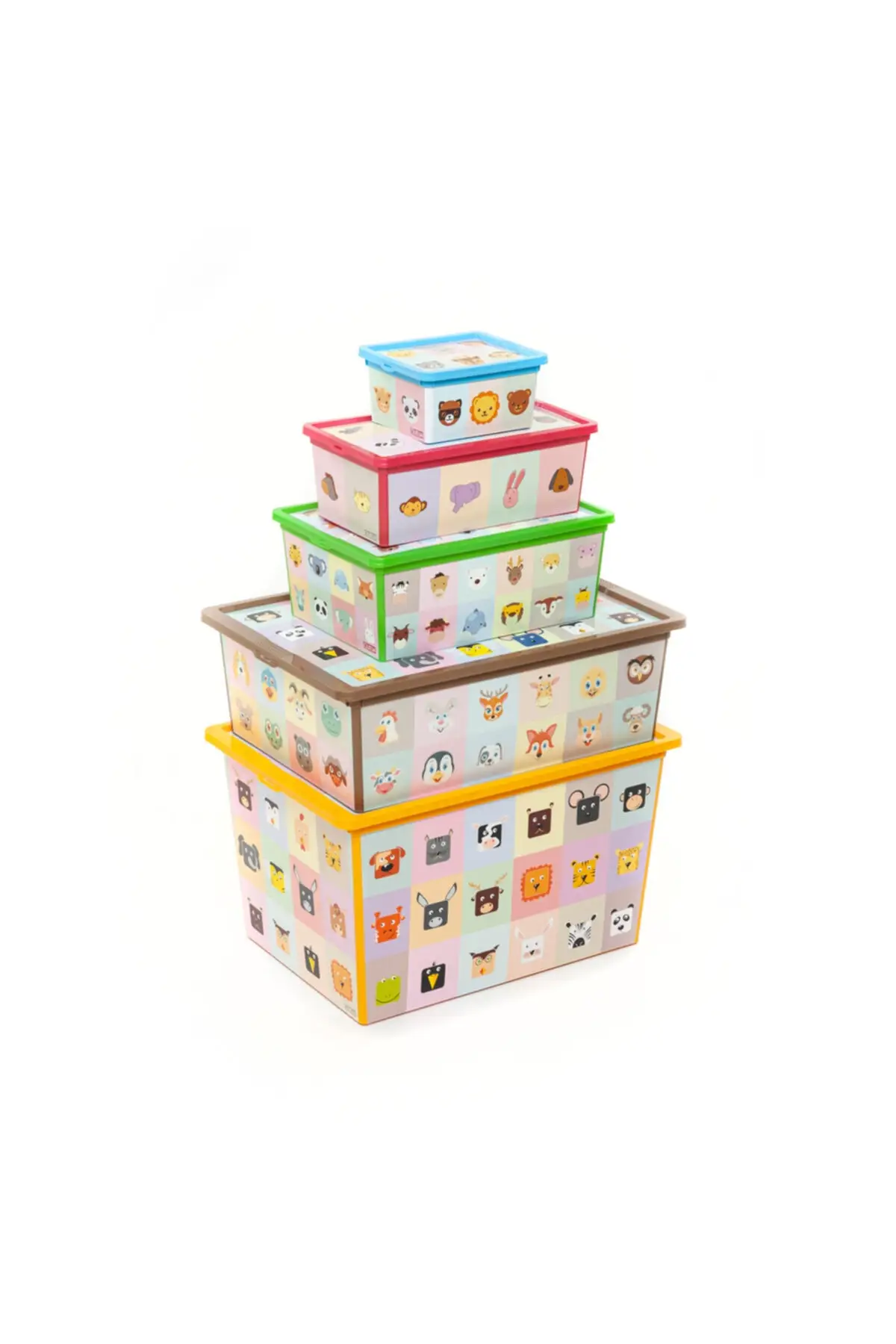 

Модная коробка lookg, learnng 5li Box