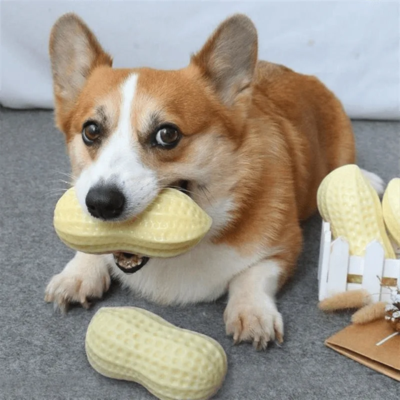 

Pet Dog Vocal Toy Peanut Relief Device Grinding Teeth Bite Resistant Corgi Teddy Shiba Inu Small Dog Toy Ball