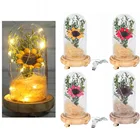 Подключение USB, Подсолнухи, сухоцветы в стеклянном Куполе С основанием, теплый светильник, прикроватный ночник, День Св. Валентина подарки на день матери