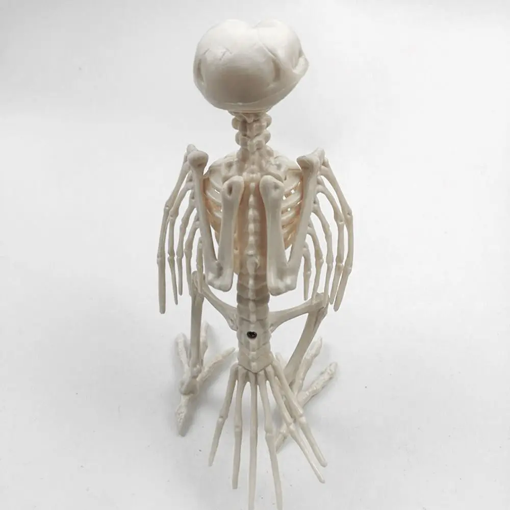 Фото Crazy Bone Skeleton Raven пластиковые скелеты животных, кости, ужас, реквизит для птиц, Ворон, скелет, украшение №2