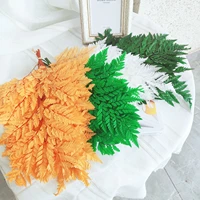 10pcs dried preserved fern leaf naturally made alpine fern leaf party home decor accessories mariage nature diy material