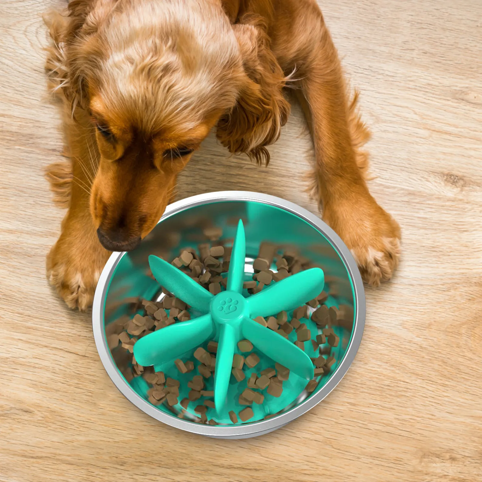 

Slow Feeder InsertSlow Feeder Dog Bowls Large Breed With Strong Suction Cup Super Firm Slow Eating Dog Bowl For Small Medium