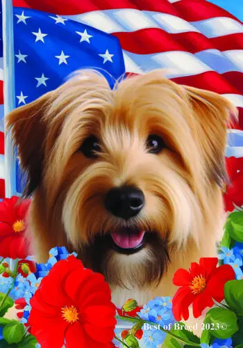 Глен из Imaal Terrier Wheaten Все-американский патриотический 1-й флаг