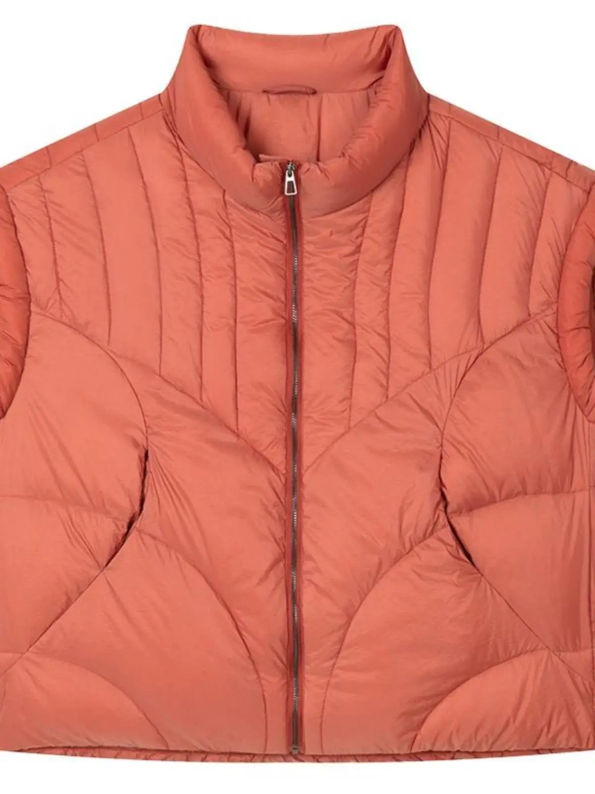 Повседневный пуховый жилет с хлопковой подкладкой женский зимний 2024 новый