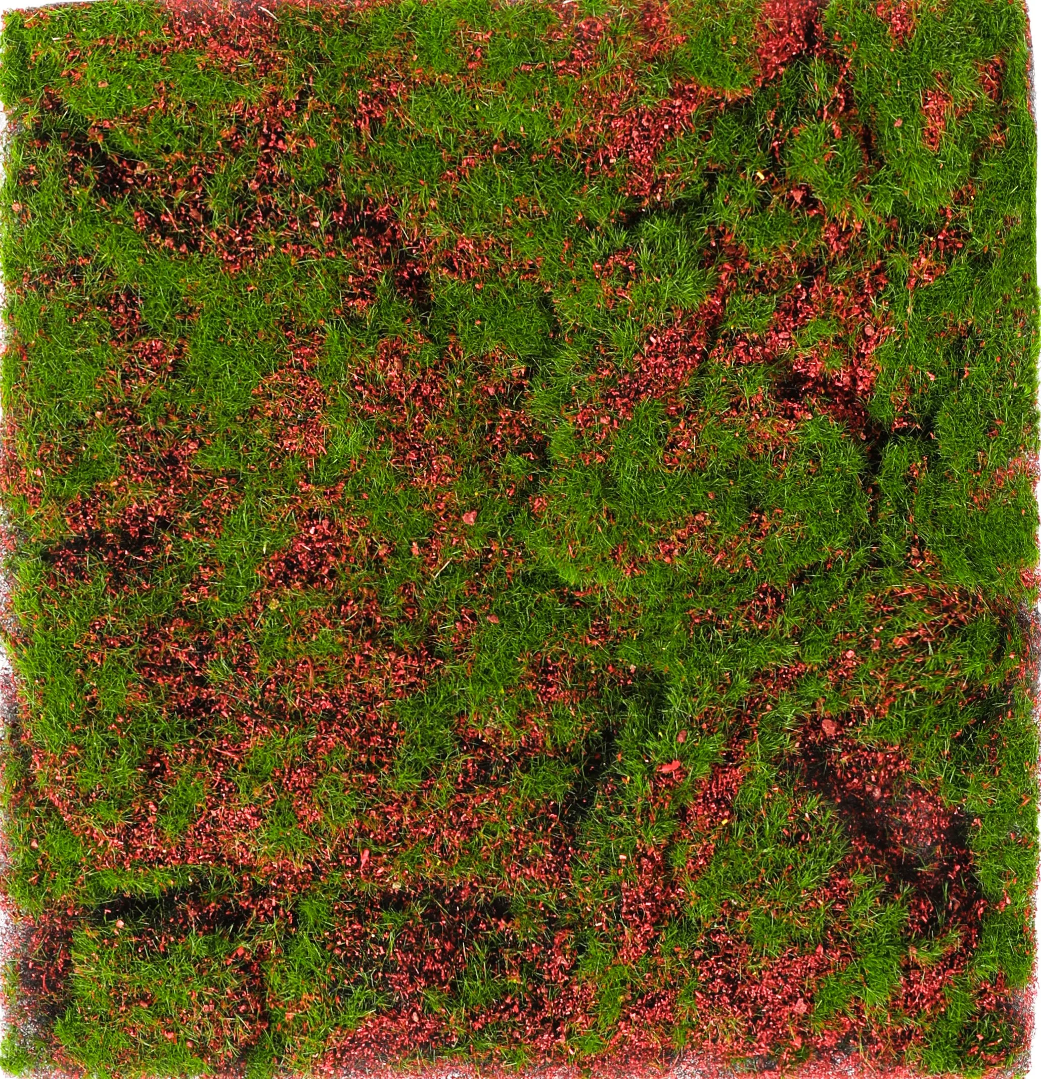 

Искусственный мох Viridiplantae