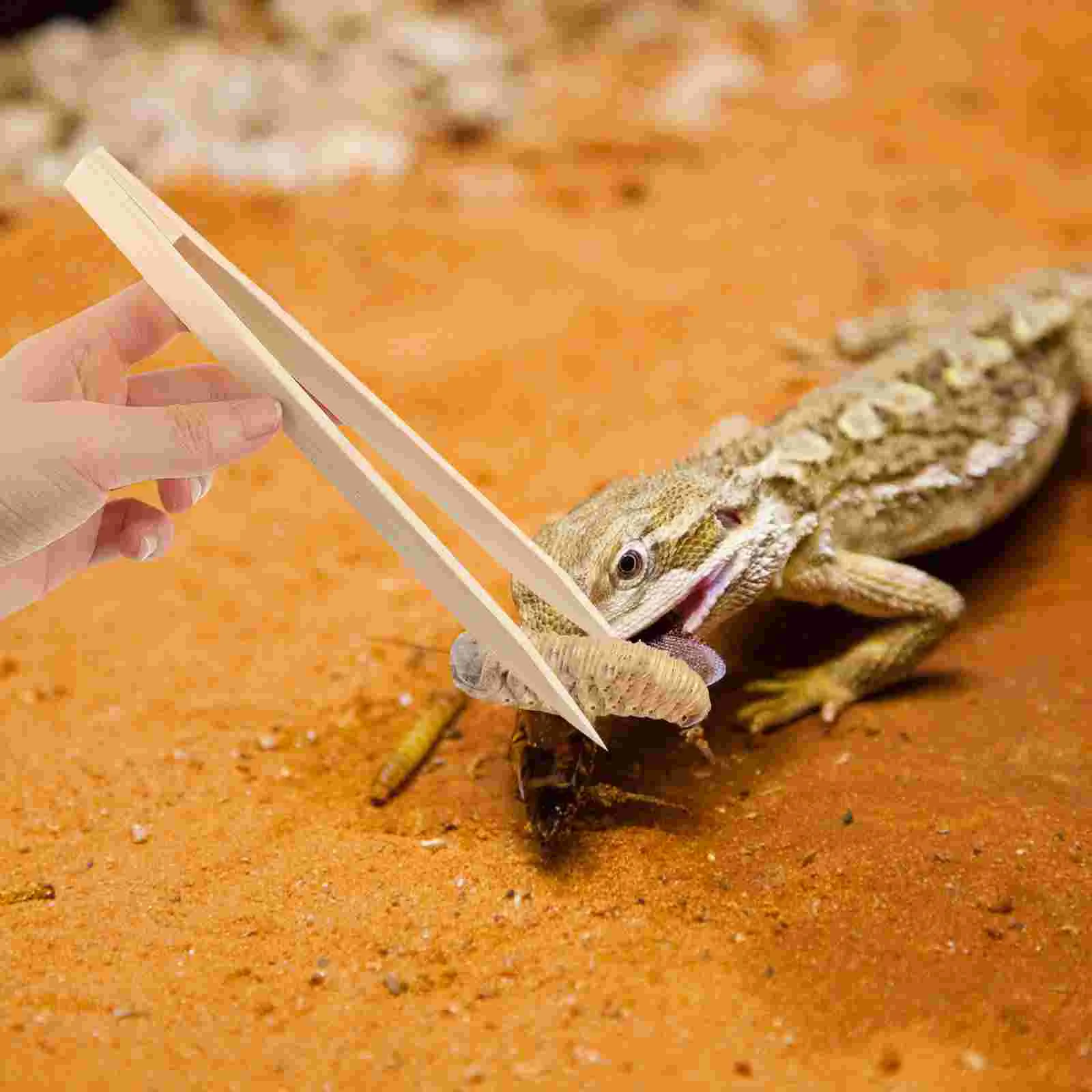 

Breeding Supplies Reptile Feeding Tweezers Crawling Pet Food Clip Supply Lizards Turtles Tong