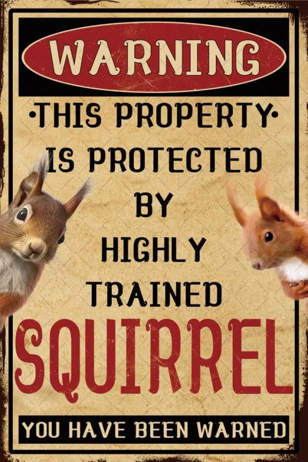 Подставка Sgn Funny Vntge Metl Tn для любителей подставок Bewre of Squrrel Decor For Yrd Outsde 8x12 nch