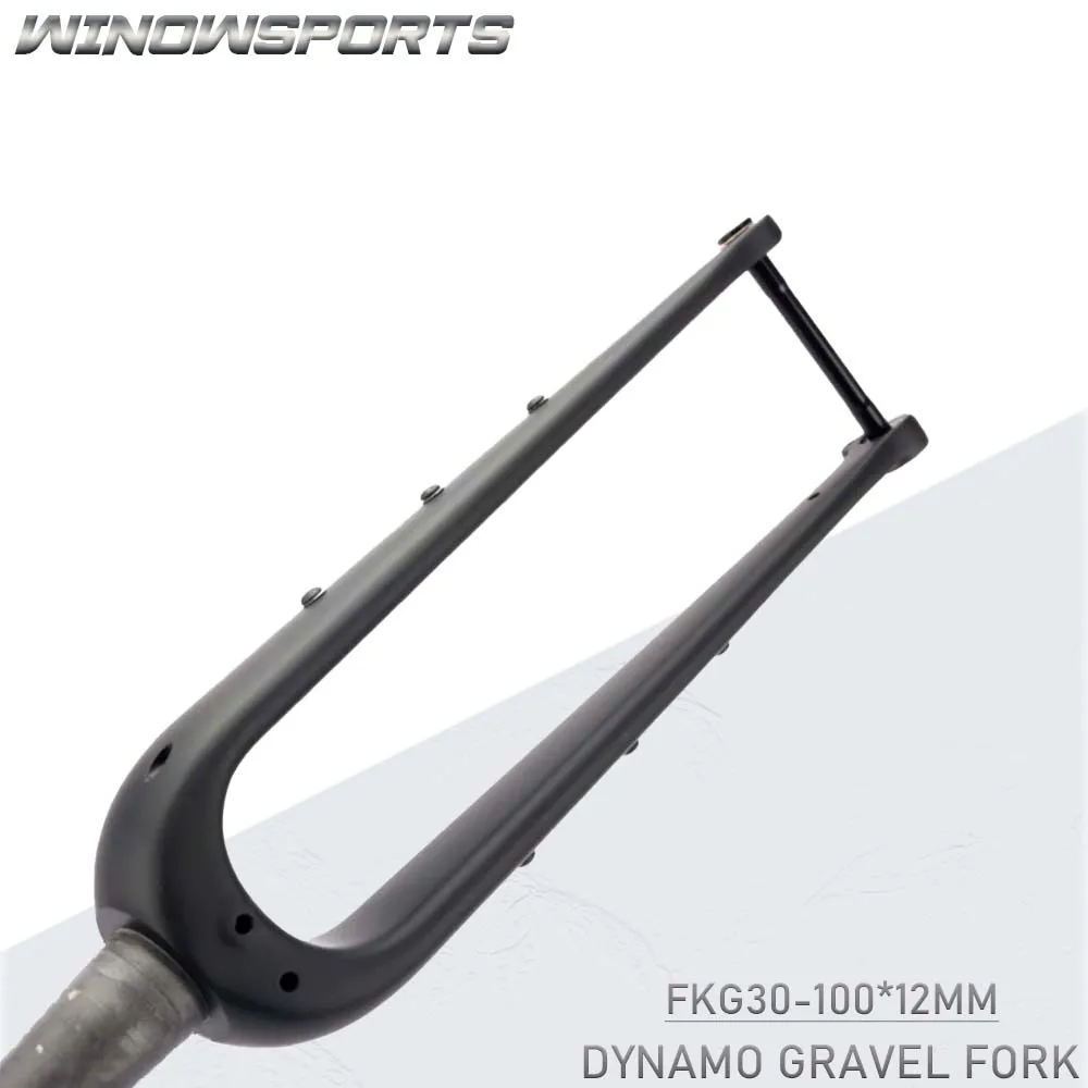 

New arrival support Dynamo Hub gravel fork carbon cyclocross forks internal cable Based on FKG30