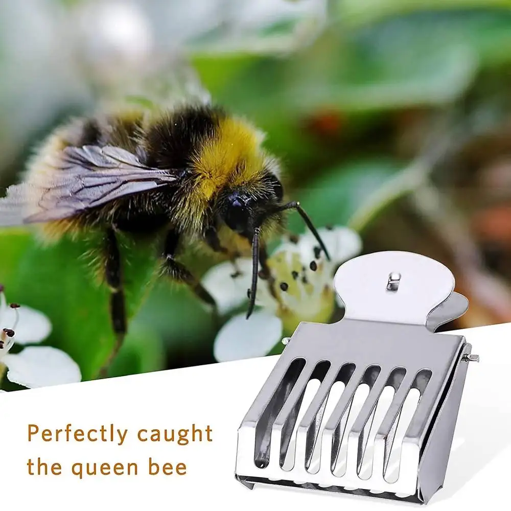 8-в-1 комплект для выращивания королевы пчелы маркировки с ручкой бутылка и