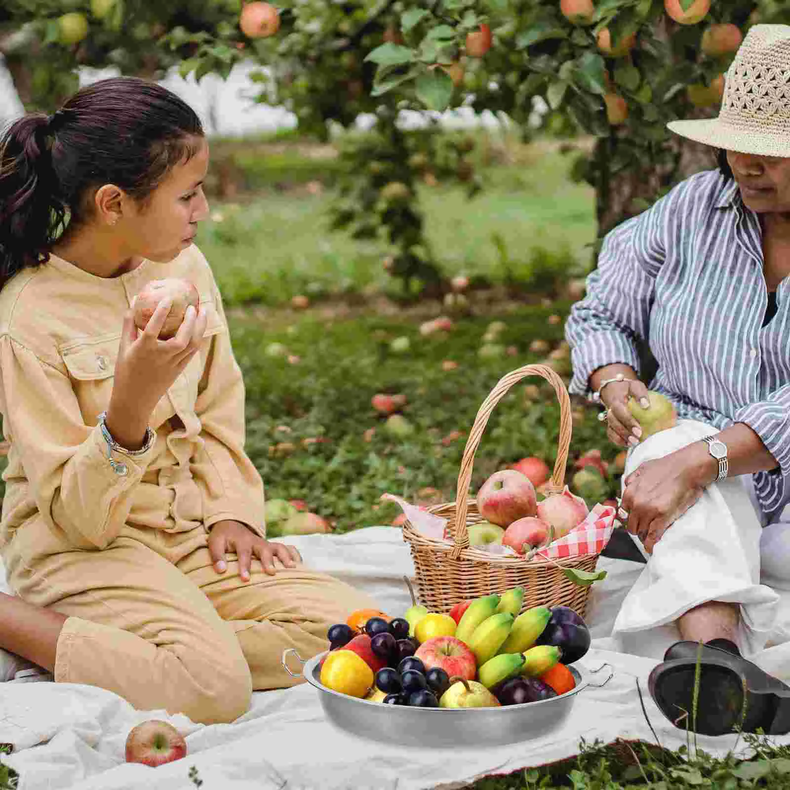 Пароварка Liangpi металлическая пластина противень для закусок из нержавеющей