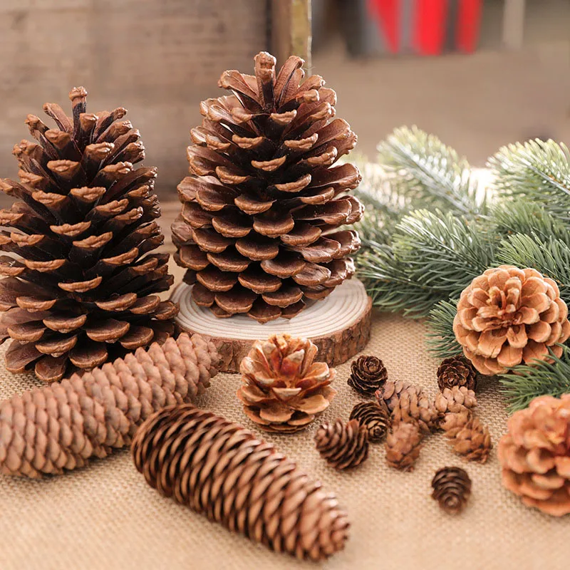 

18 to 2cm Natural Pine Cones Christmas Pinecones Fall Halloween Thanksgiving Xmas Wreath Garland Decor Xmas Ornament