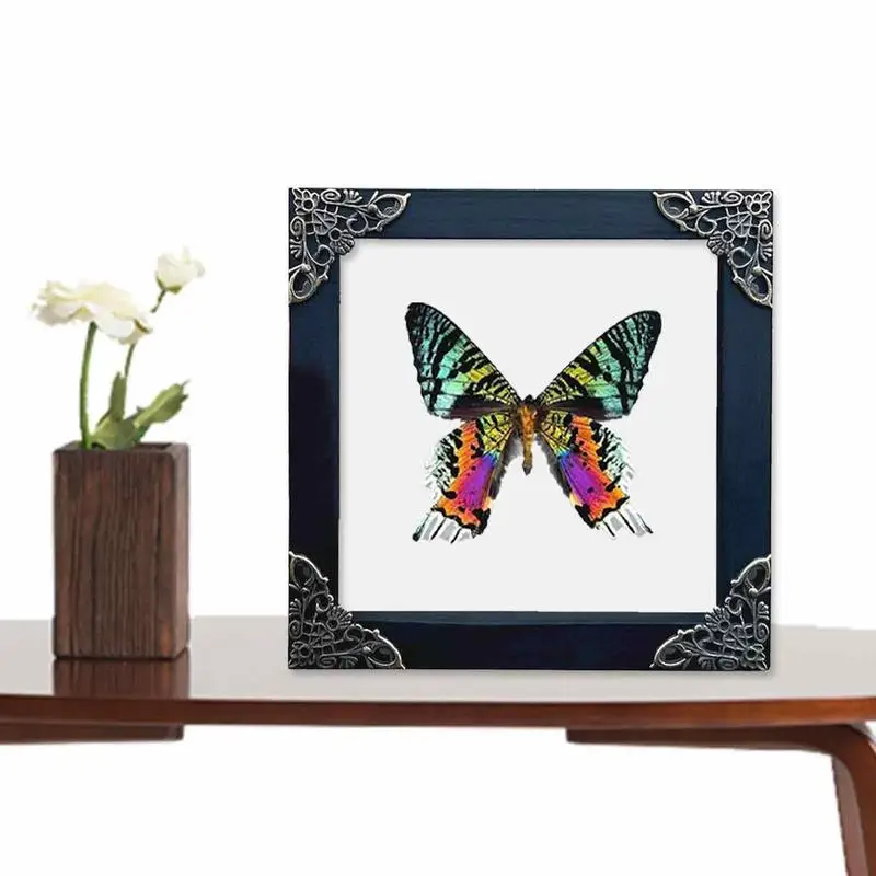 

Display Frame Shadow Box Wooden Box Moisture Proof Display Case Home Decoration Display Box For Bedrooms Living Rooms Dining