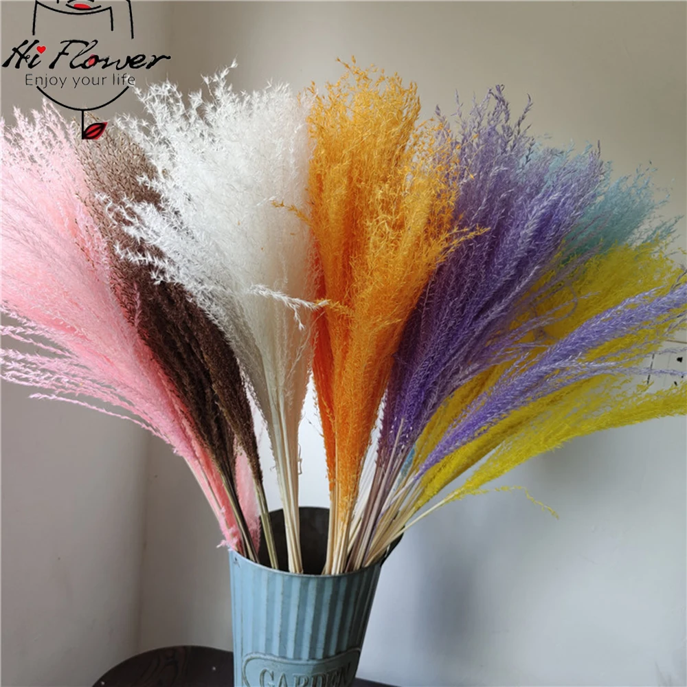 

20pcs Preserved Flowers Bouquet Natural Reed Grass Small Pampas for Living Hoom Decoration Fluffy Dried Whisk Flower Arrangement