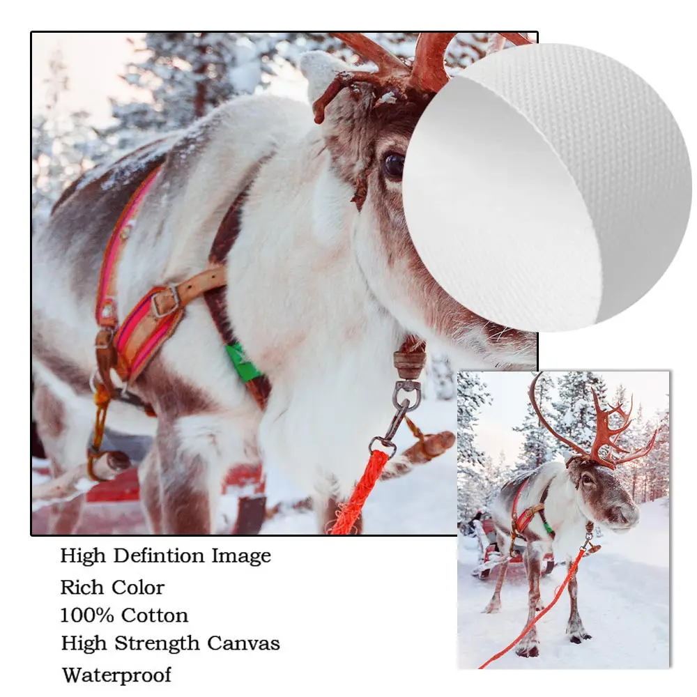 Зимний пейзаж