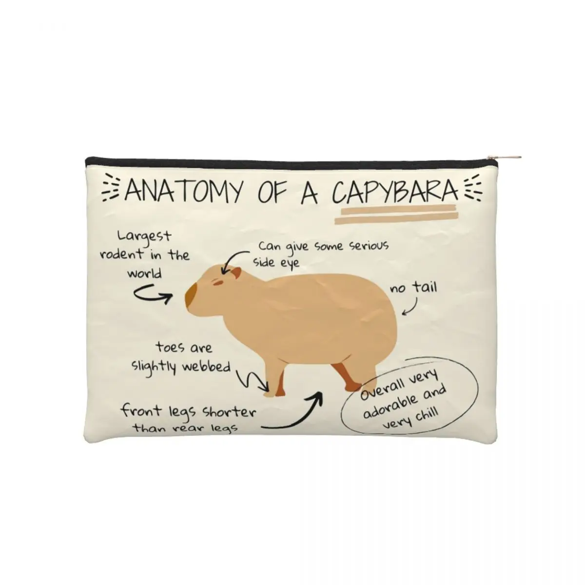 

Custom Anatomy Of A Capybara Travel Cosmetic Bag for Women Makeup Toiletry Organizer Ladies Beauty Storage Dopp Kit