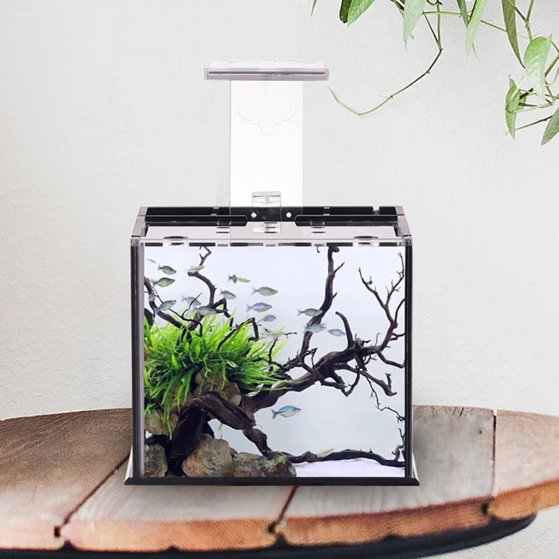 fish bowl cover with light