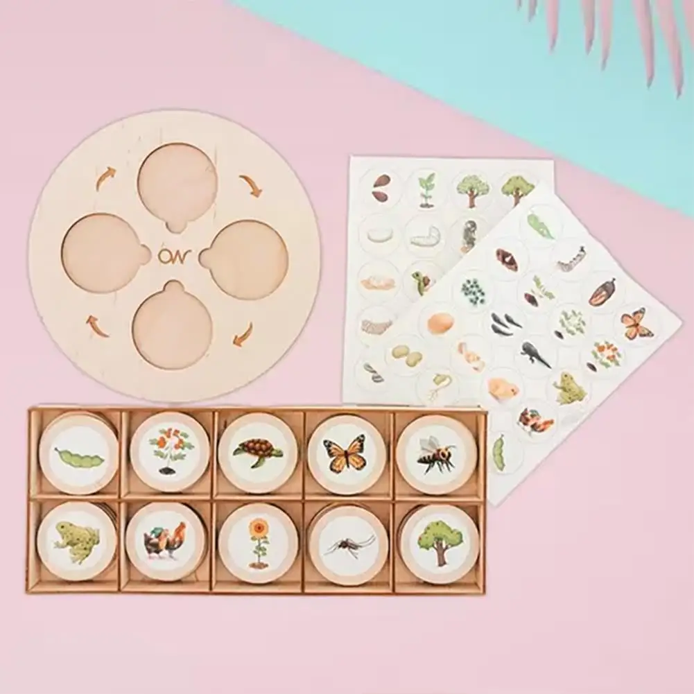 

1PCS Montessori Life Cycle Tray Game Wooden Teaching Aids Puzzle Aids Science Biological Educational Teaching Toys Children G5L6