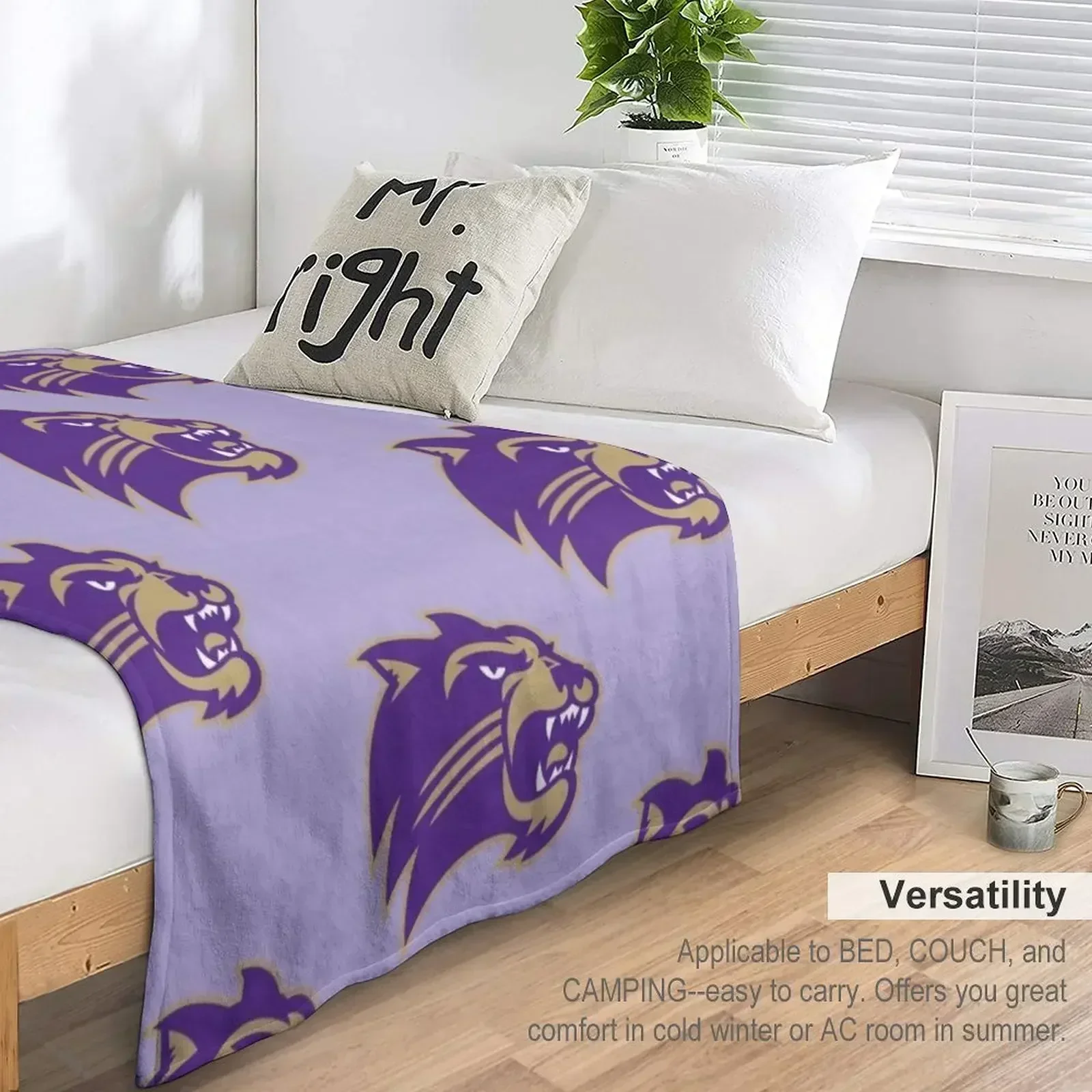 Фото Плед Western Carolina Catamounts, постельное белье, плюшевый плед для косплея и аниме, для дивана, тонкие роскошные пледы и покрывала. №5
