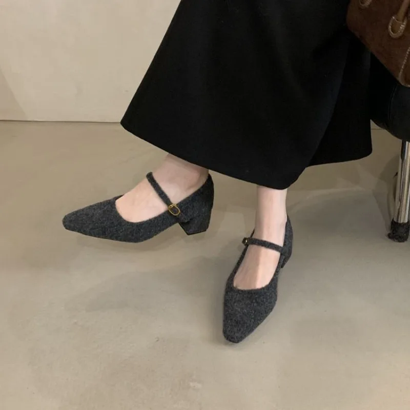 Женская обувь на среднем каблуке с острым носком замшевые ботильоны зима 2025