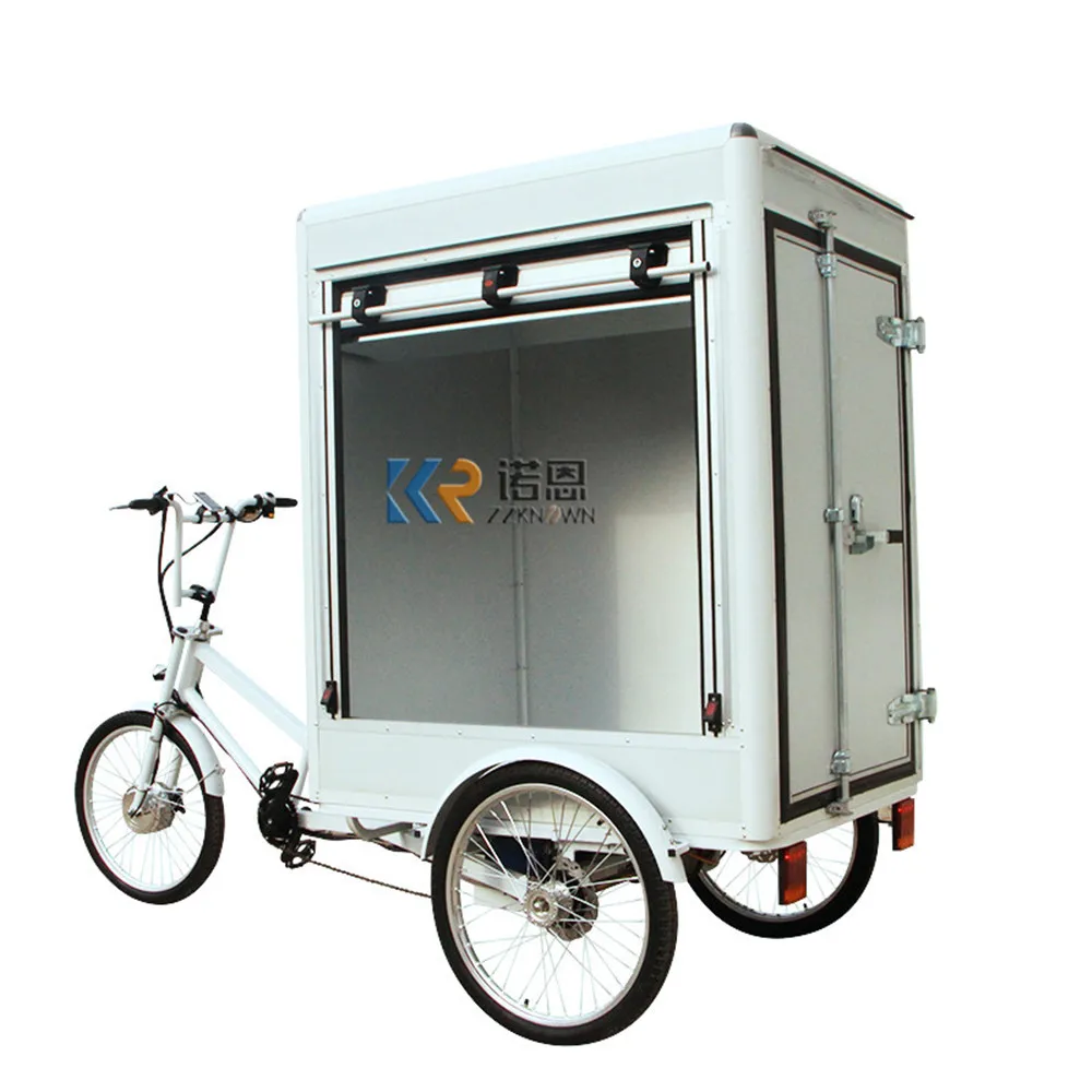 Popular City Food Delivery Industrial Special Needs Bike Ele