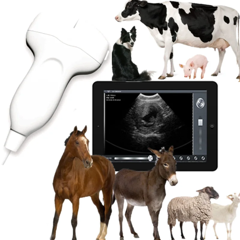 

USB ecografo portatil ultrasonido portable ultrasound machine for sale